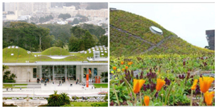 Academia de Ciencias de California. San Francisco.