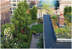 Rooftop Garden Restaurant. Nueva York.