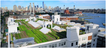 Brooklyn grange. Nueva York.