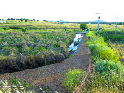Humedales artificiales para el tratamiento de aguas residuales