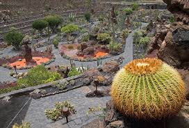 El jardín de cactus
