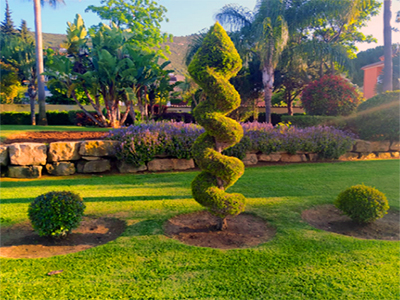 curso mantenimiento jardines curso mantenimiento jardines