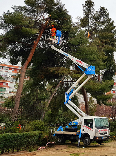 curso de mantenimiento de jardines en España curso de mantenimiento de jardines